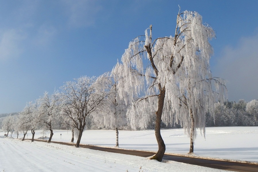 A snow-covered landscape with a road and trees.