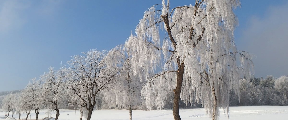 A snow-covered landscape with a road and trees.
