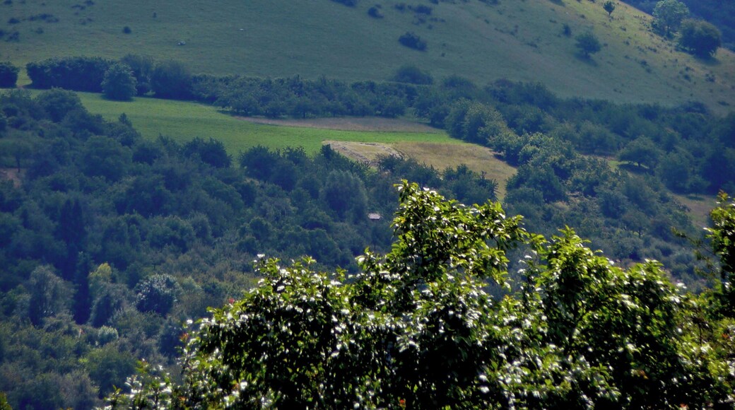 Burg Teck , 773 Meter hoch gelegene Gipfelburg