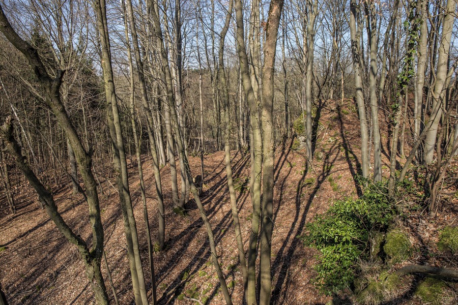 Burgstall Großes Haus - Blick auf den westlichen Ringgraben mit Außenwall sowie auf das westliche Vorgelände der Burgstelle