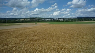 Landschaft bei Oberbiel