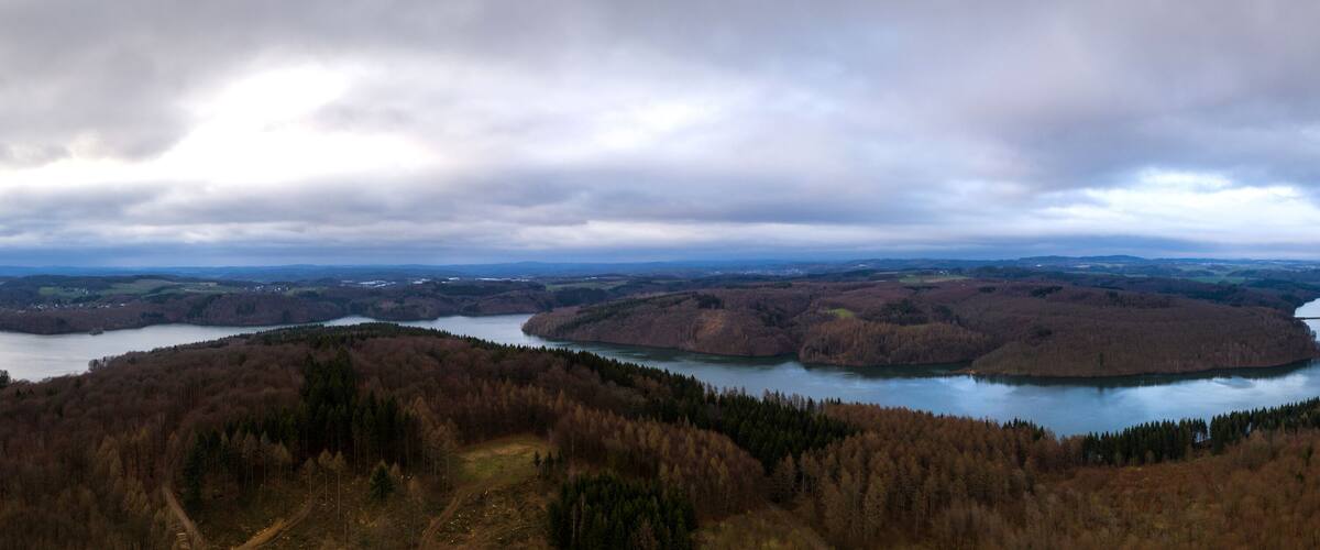 A river winding through a forested valley with hills in the background.