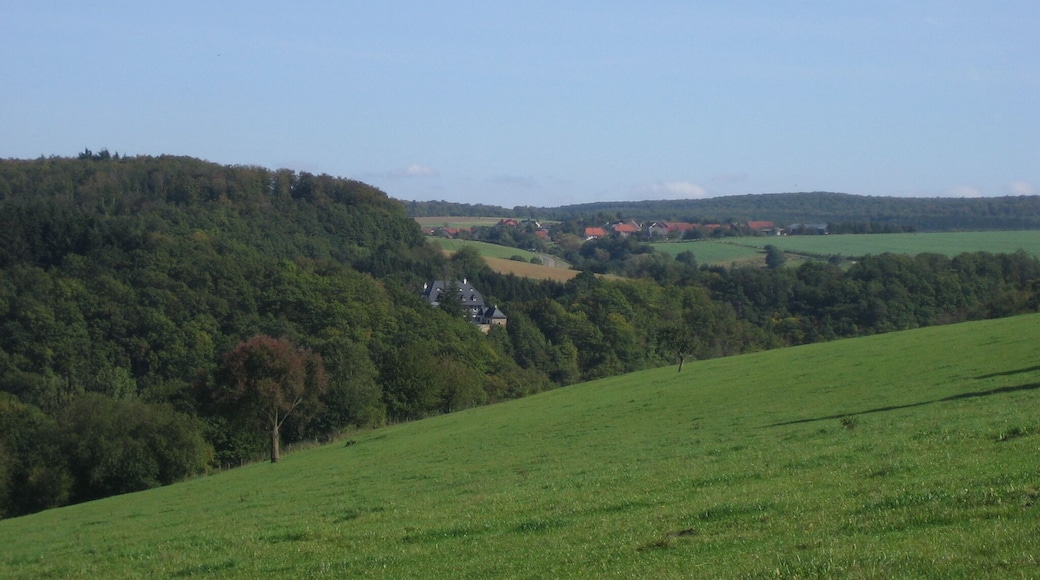 Schloß Winterburg mit Allenfeld