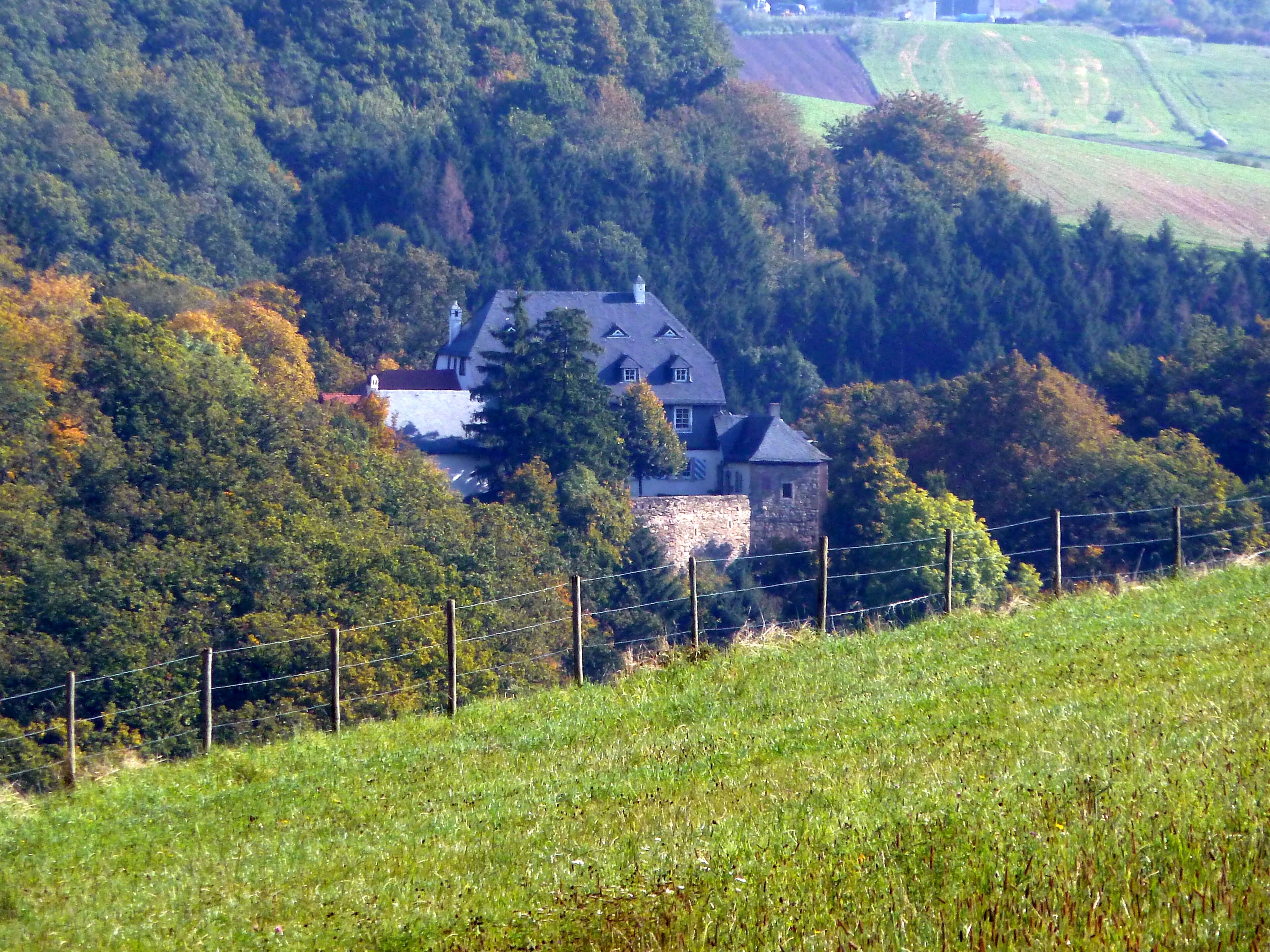 A house surrounded by dense forest and a stone wall.