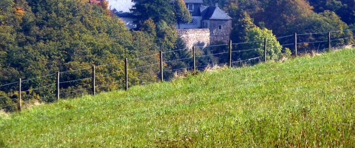 A house surrounded by dense forest and a stone wall.