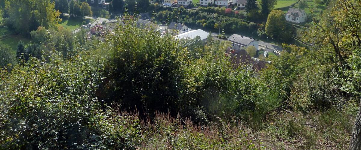 Blick vom „Hahn“ auf den Rotenweg in Winterburg