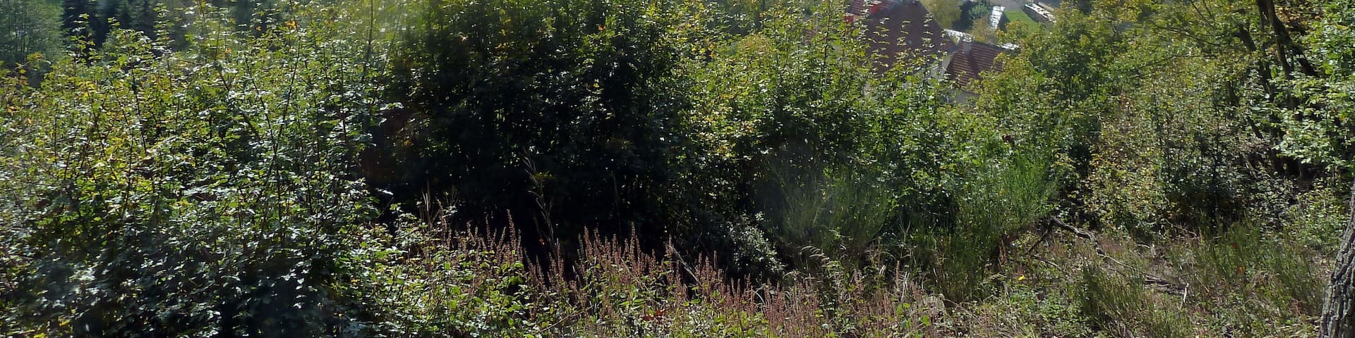 Blick vom „Hahn“ auf den Rotenweg in Winterburg