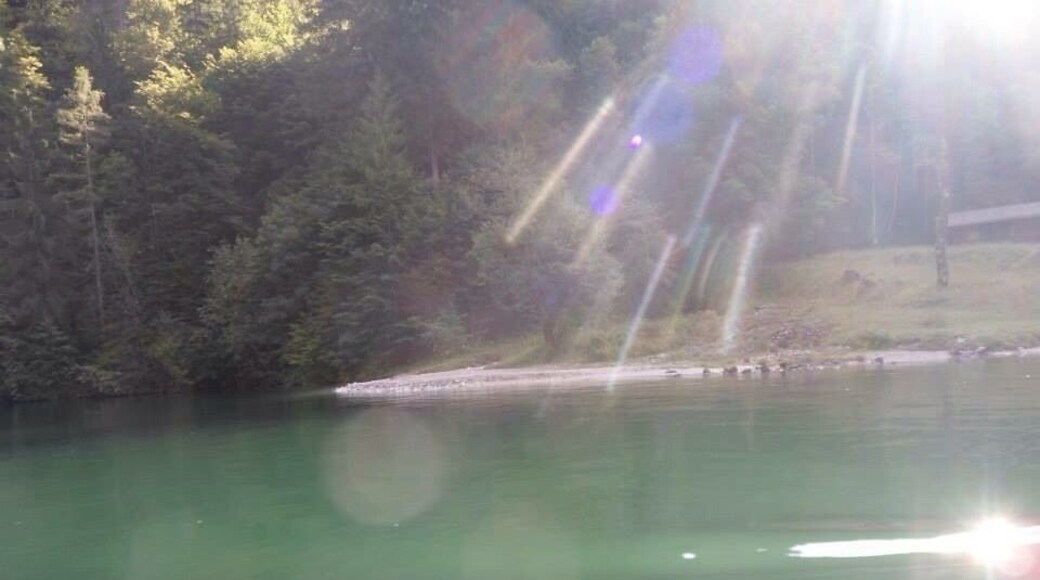 Konigsee on the water