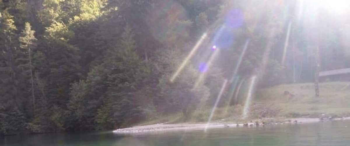 A calm lake surrounded by dense forest.