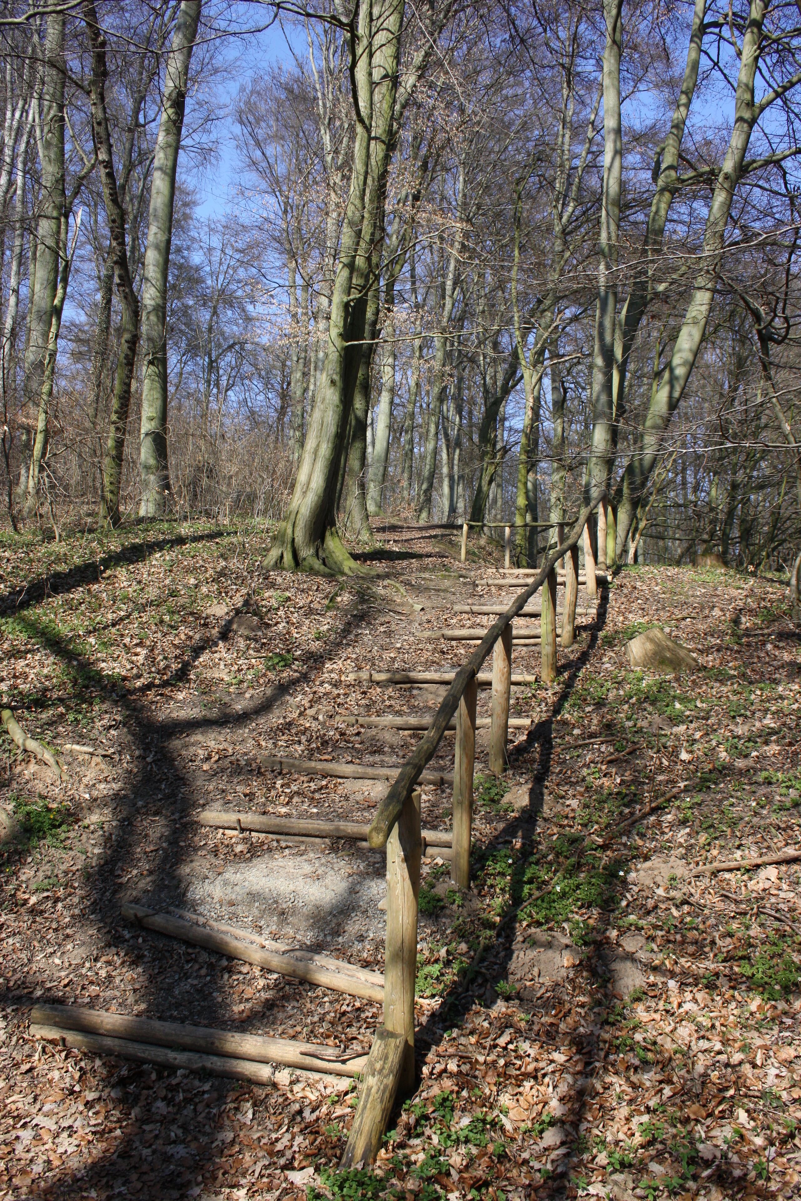 Frühlingsrundwanderung Schmücke bei Heldrungen