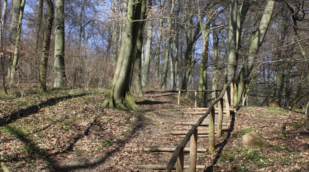 Frühlingsrundwanderung Schmücke bei Heldrungen