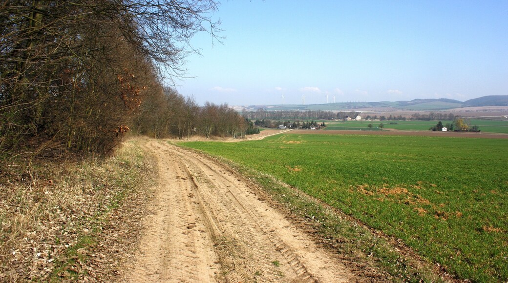 Frühlingsrundwanderung Schmücke bei Heldrungen