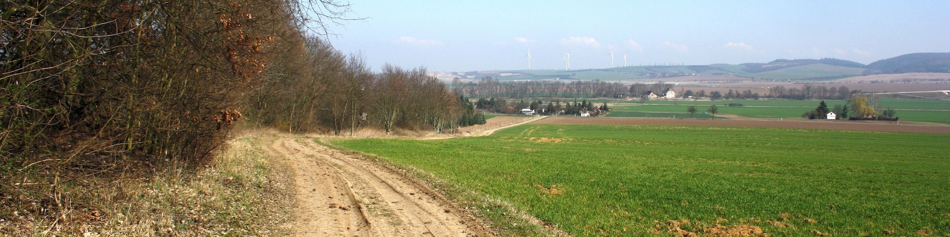 FrĂŒhlingsrundwanderung SchmĂŒcke bei Heldrungen