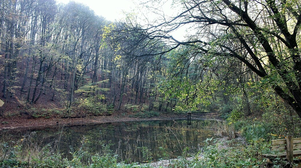 Heldrungen, the fish pond near Waldschlößchen