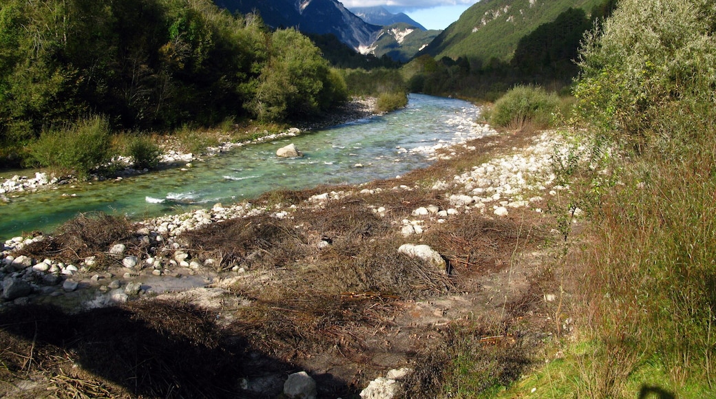 English: Middle section of Resia Valley, a tributary valley of Canal del Ferro, near San Giorgio / Friuli-Venezia Giulia / Italy / EU. View down the valley to the west with the river Resia. On the left side of the rising Monte Plauris. White stones are in the riverbed. Round beech forests.