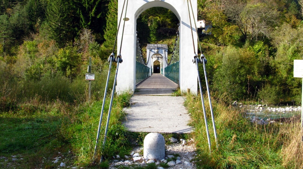 Pedestrian bridge near San Giorgio in Val Resia , a tributary valley of Canal del Ferro / Friuli-Venezia Giulia / Italy / EU.