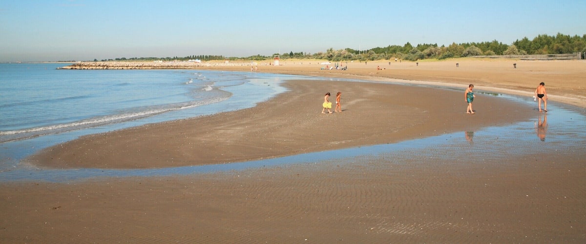 A sandy beach with gentle waves, a clear sky, and distant trees.