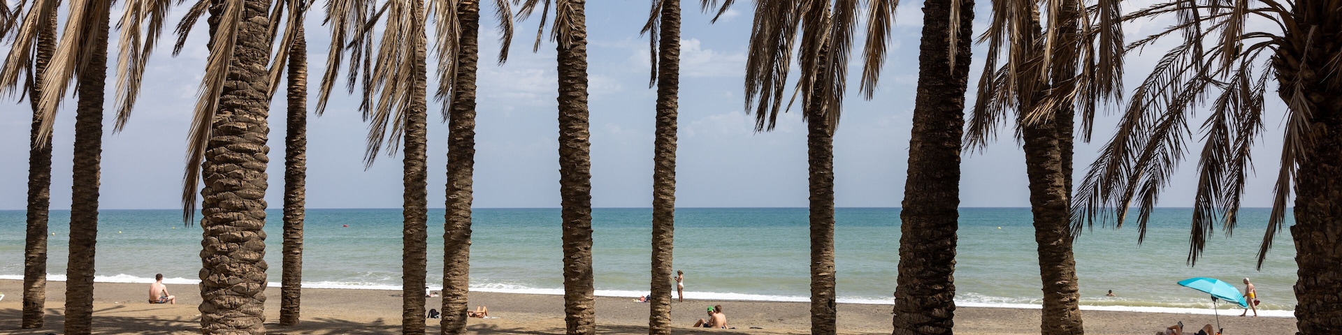 Palm grove along the Bajondillo beach in Torremolinos, Andalucia, Spain.