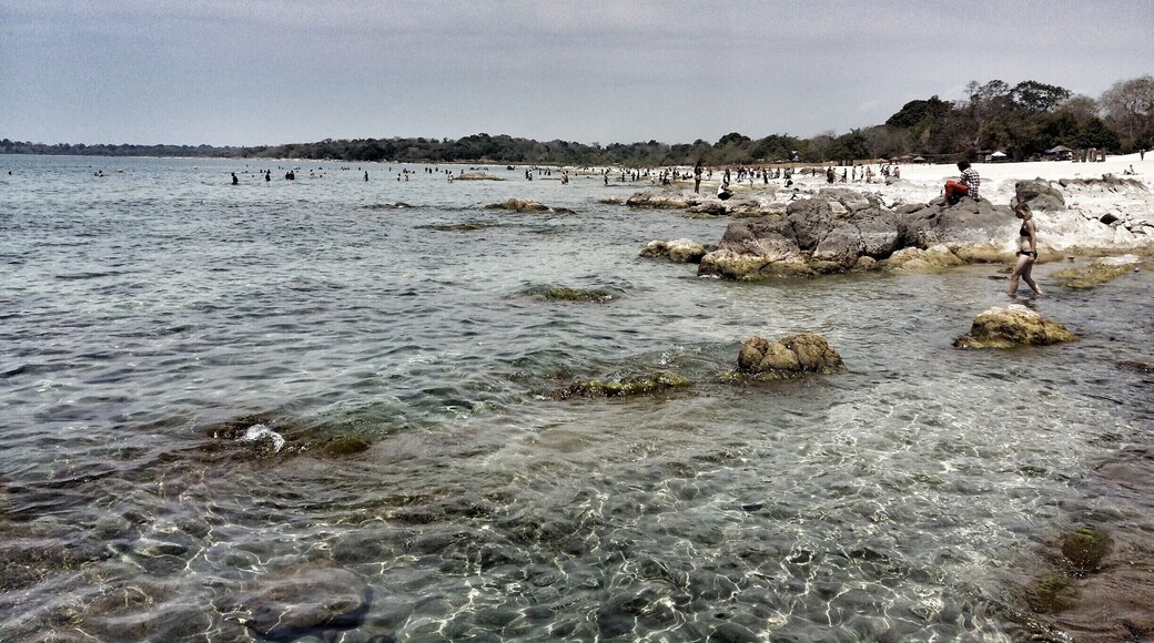 Lake of Stars 2016 - Arts Festival
Nice weekend with wonderful music and colorful people!