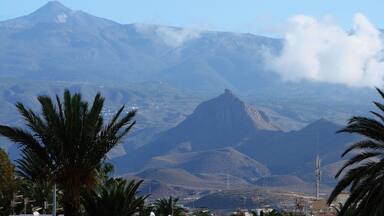 A mountain range with a prominent peak, palm trees in the foreground, and a clear sky.