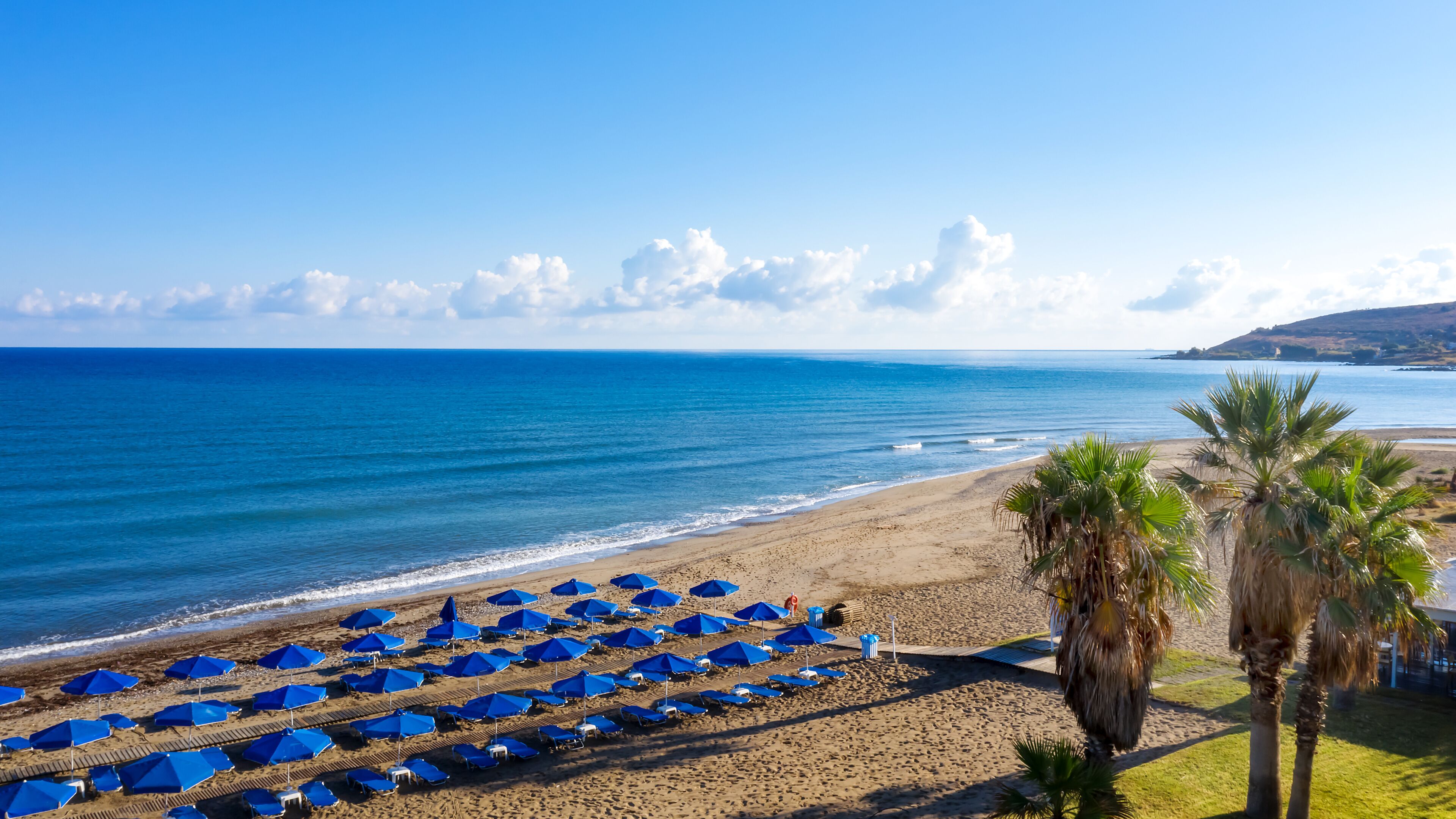 A beach with blue umbrellas and palm trees.