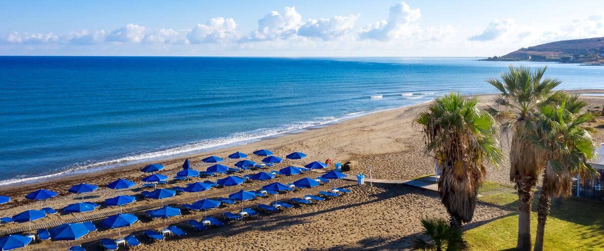 A beach with blue umbrellas and palm trees.