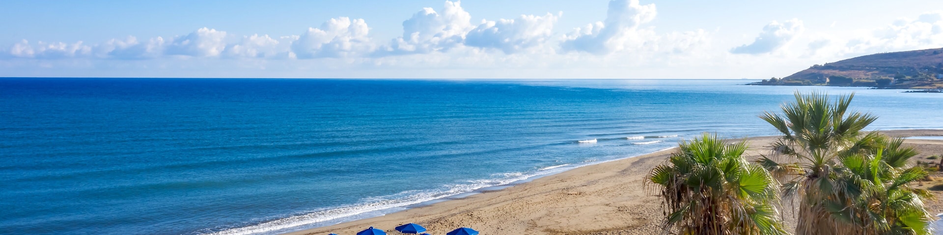 A beach with blue umbrellas and palm trees.