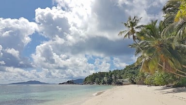 A beach with clear turquoise water, palm trees, and a distant mountain.