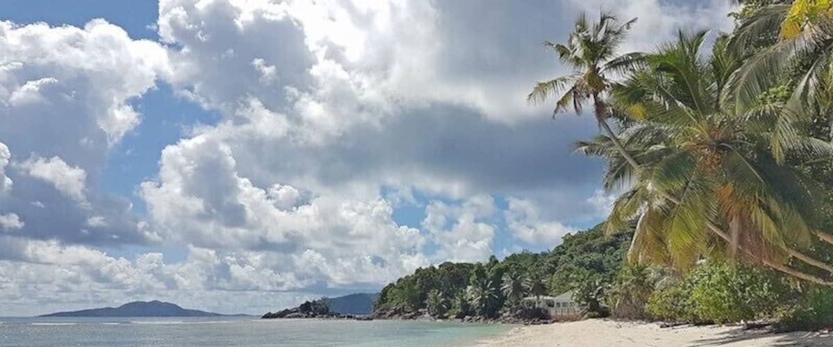 A beach with clear turquoise water, palm trees, and a distant mountain.