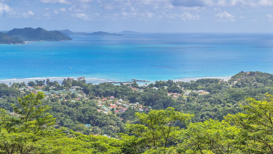 A coastal landscape with a beach, a forested area, and a distant mountain range.