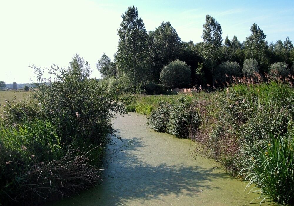 Rivière du Schoubrouck