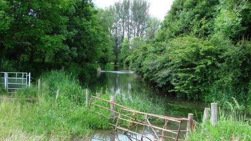 Growing Thames emerging Ewen grove