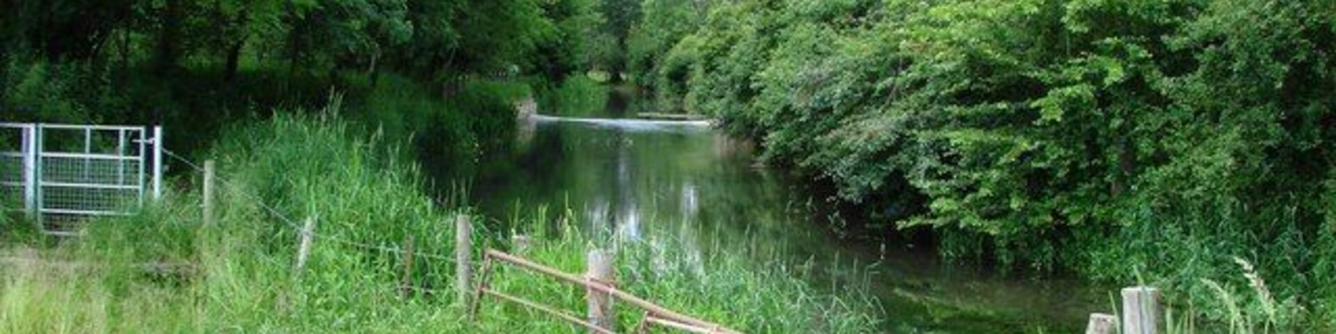 Growing Thames emerging Ewen grove