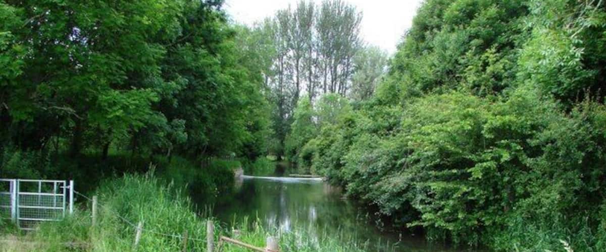 A wooden bridge over a calm river surrounded by lush greenery.
