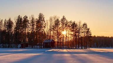 Midnight sun fishing or ice fishing and auroras. Find a your own cabin in the Finnish Lakeland with Rock and Lake Cottages. They will also assist in planning all of your activities while you enjoy the silence.
More info > http://www.rockandlake.com/en/
