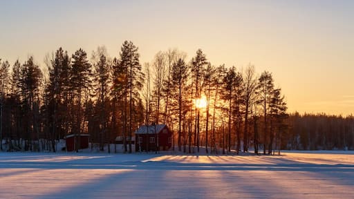Midnight sun fishing or ice fishing and auroras. Find a your own cabin in the Finnish Lakeland with Rock and Lake Cottages. They will also assist in planning all of your activities while you enjoy the silence.
More info > http://www.rockandlake.com/en/