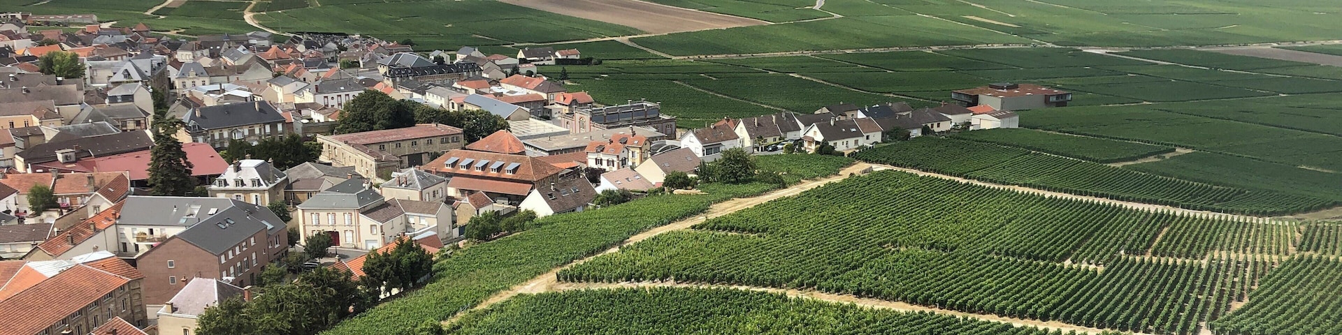 The Champagne region (particularly the road winding through the Montagne de Reims) is quite scenic and offers hundreds of champagne tasting opportunities along the way. Great day trip if you’re in Paris.