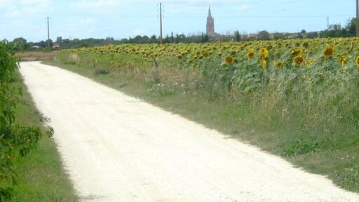 Marennes over the fields