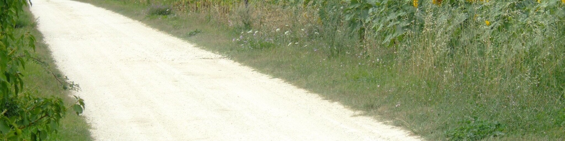 Marennes over the fields