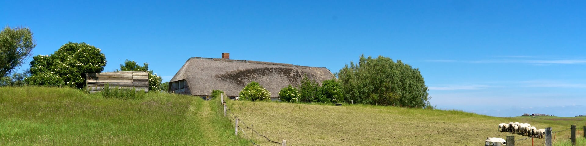 Thatched Houses on the Warft on the Hallig Langeness