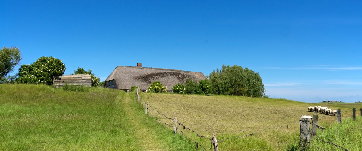 A grassy field with a thatched-roof barn, a fenced path, and a herd of sheep in the distance.