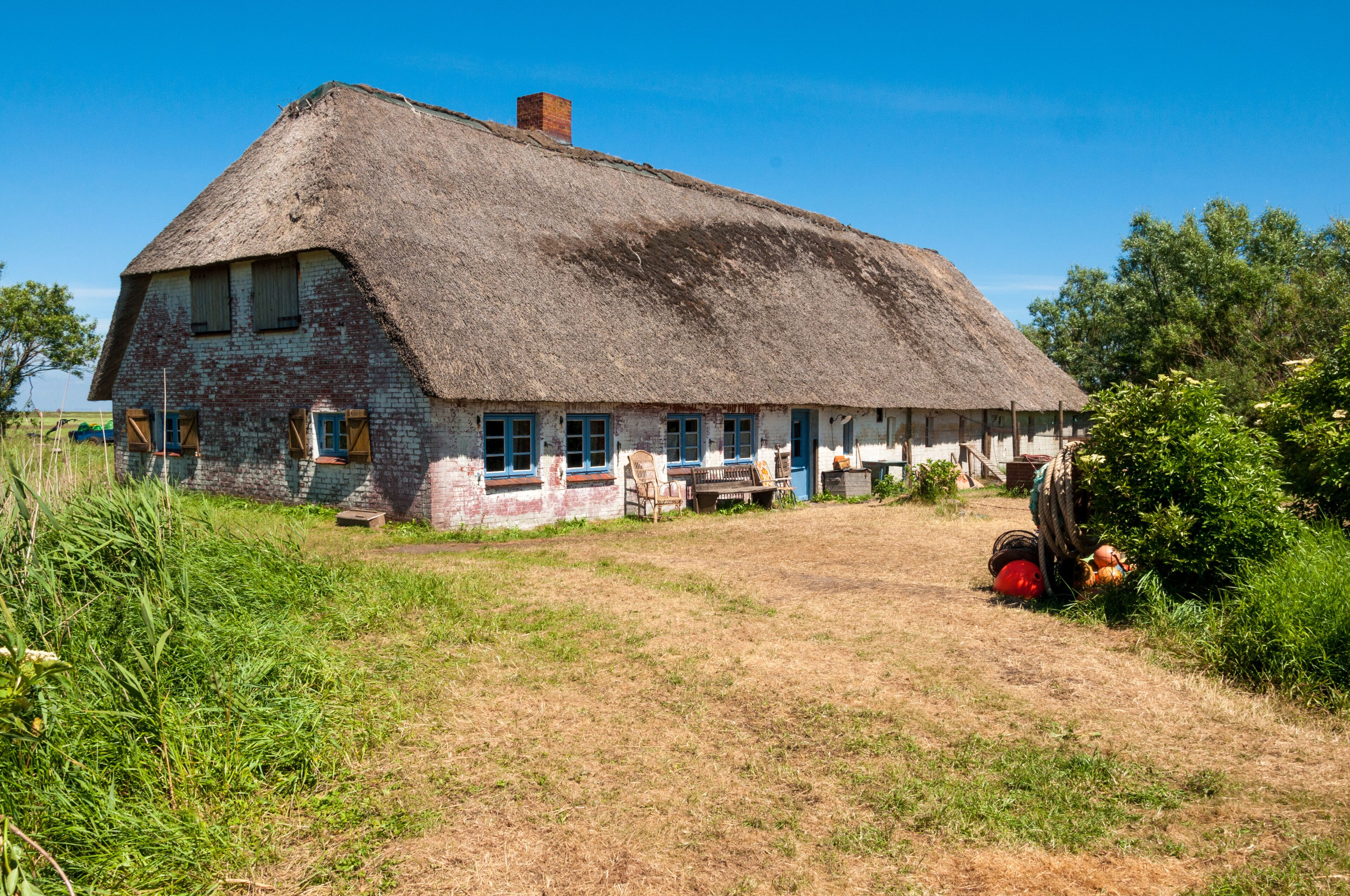 ฮัลลิกลังเกอนิซ