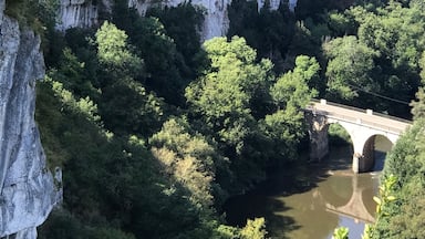 A river with a bridge, surrounded by dense greenery and cliffs.