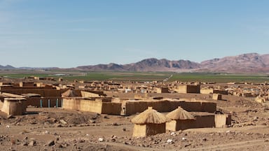 The houses are constructed from reeds.