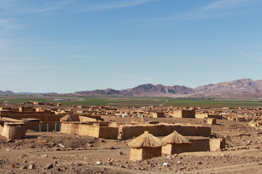 The houses are constructed from reeds.