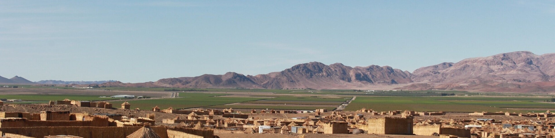 The houses are constructed from reeds.