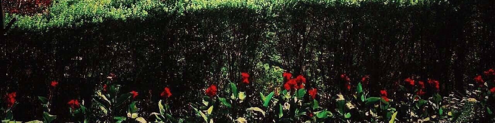 The breakfast view from #TeaTrails... Sri Lanka, a must see! Thanks for a wonderful stay...