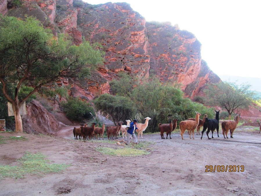 This is a very humble camping with baths with hot spring. What is wonderful is the whole place surrounded by the incredible stone hill, and its colours. You can see local people and llamas, passing by.