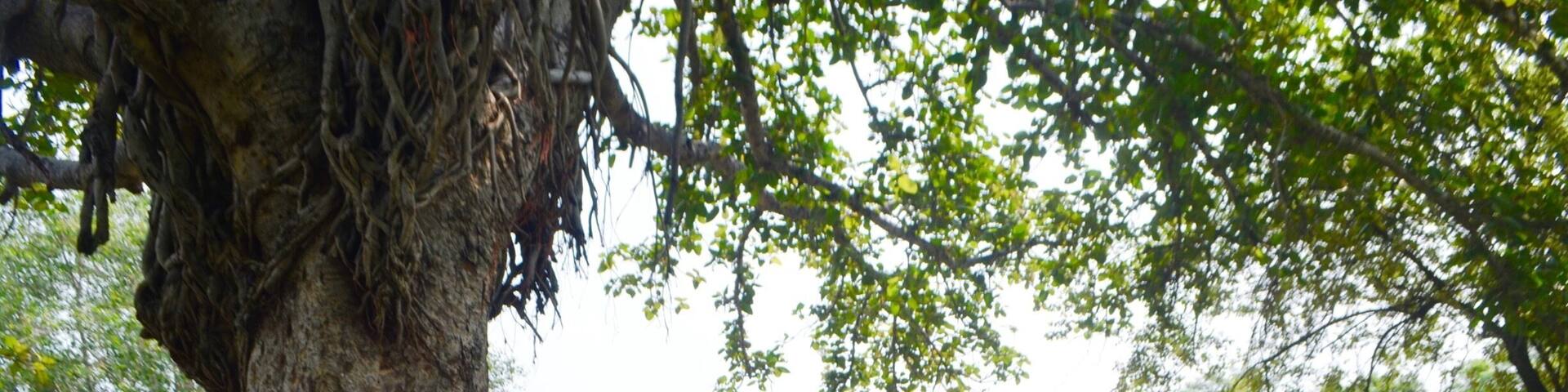 a small town in chitrkoot, this temple is built by chandel vansh, and destroyed by aurangjeb