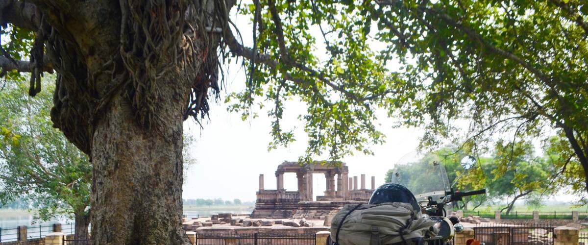 A motorcycle parked under a large tree with a temple structure in the background.